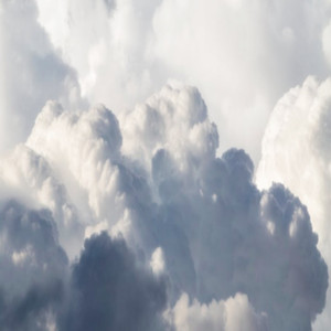 EDM精准小狼导航
