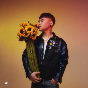 EDM精准小狼导航
