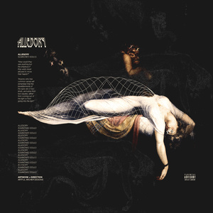 EDM精准小狼导航
