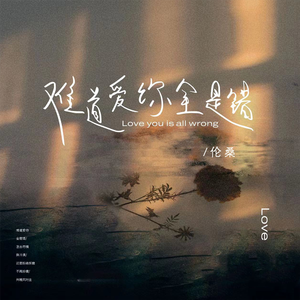 EDM精准小狼导航
