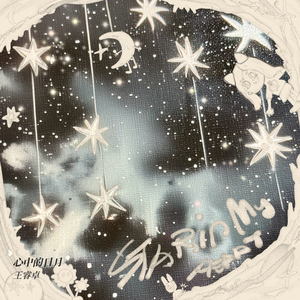 EDM精准小狼导航
