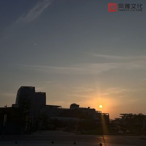 EDM精准小狼导航
