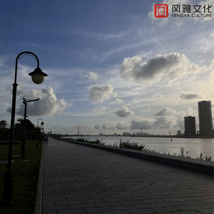 EDM精准小狼导航
